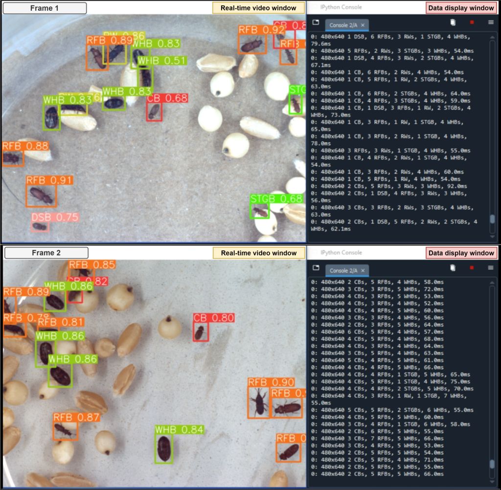 Images showing results from automated insect species identification