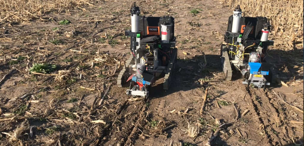 Drill robots planting grain seed in a field